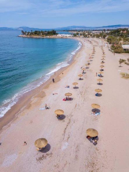 Four Seasons Sea View Apartment Athens Ngoại thất bức ảnh
